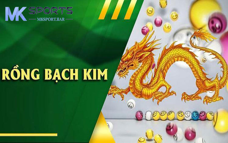 Cách soi cầu Rồng Bạch Kim thắng đậm nhà cái 2024